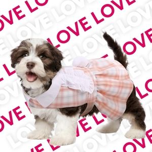 🐾 Dog Summer Dress Bunny Pom Pom, Medium